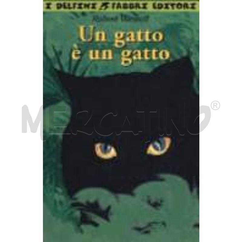 UN GATTO È UN GATTO | Mercatino dell'Usato Alpignano 1