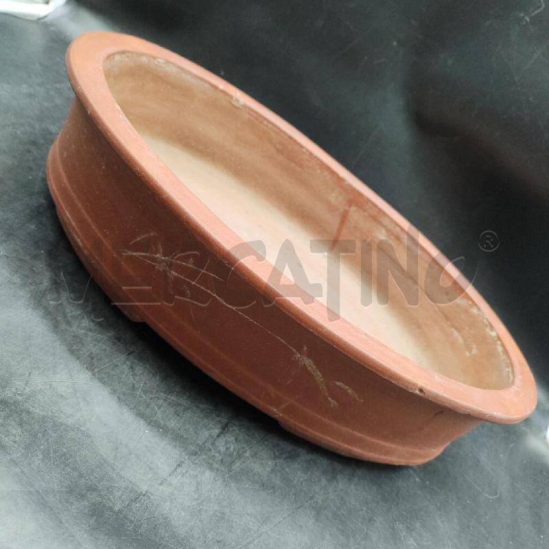 VASO BONSAI OVALE COCCIO  | Mercatino dell'Usato Alpignano 4
