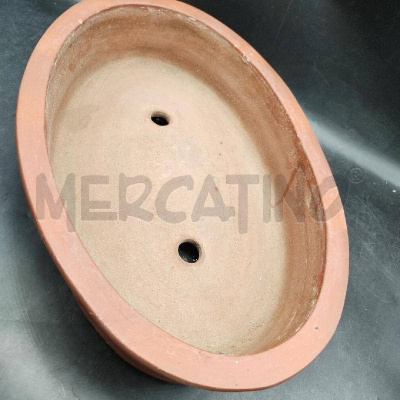 VASO BONSAI OVALE COCCIO  | Mercatino dell'Usato Alpignano 5