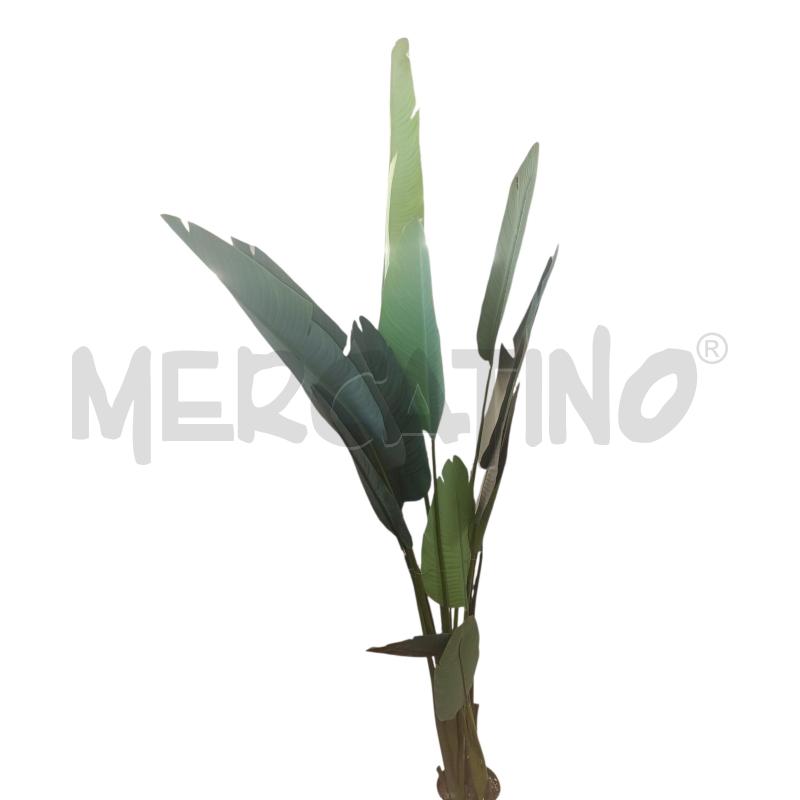 PIANTA FINTA BANANO | Mercatino dell'Usato Chieri 2