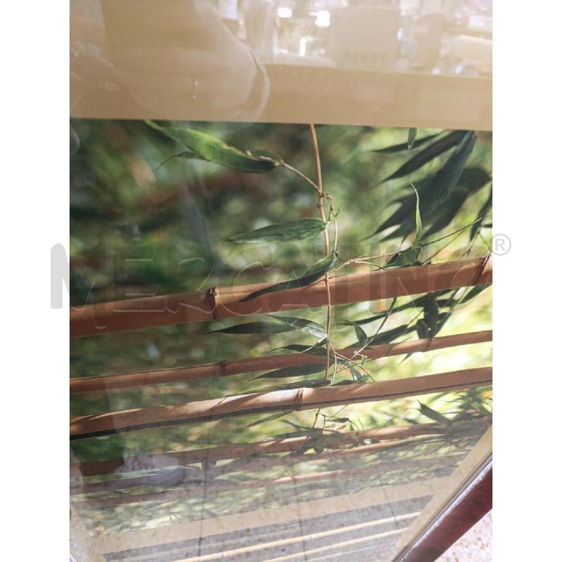 QUADRO CORNICE BIANCO MARRONE STAMPA BAMBOO | Mercatino dell'Usato Chieri 3