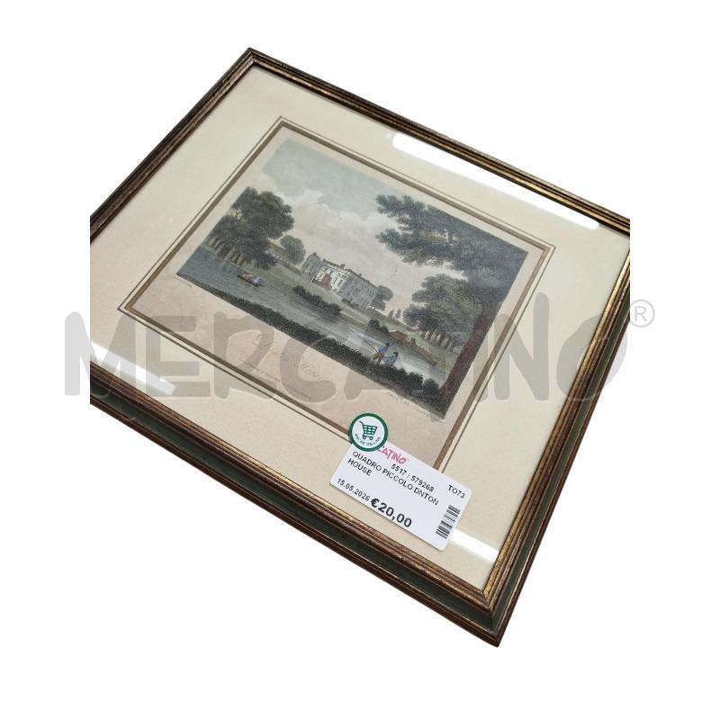QUADRO PICCOLO DNTON HOUSE | Mercatino dell'Usato Chieri 1