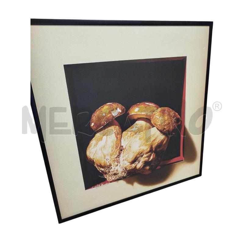 QUADRO STAMPA SU TELA FUNGHI 92X93 CM | Mercatino dell'Usato Chieri 1