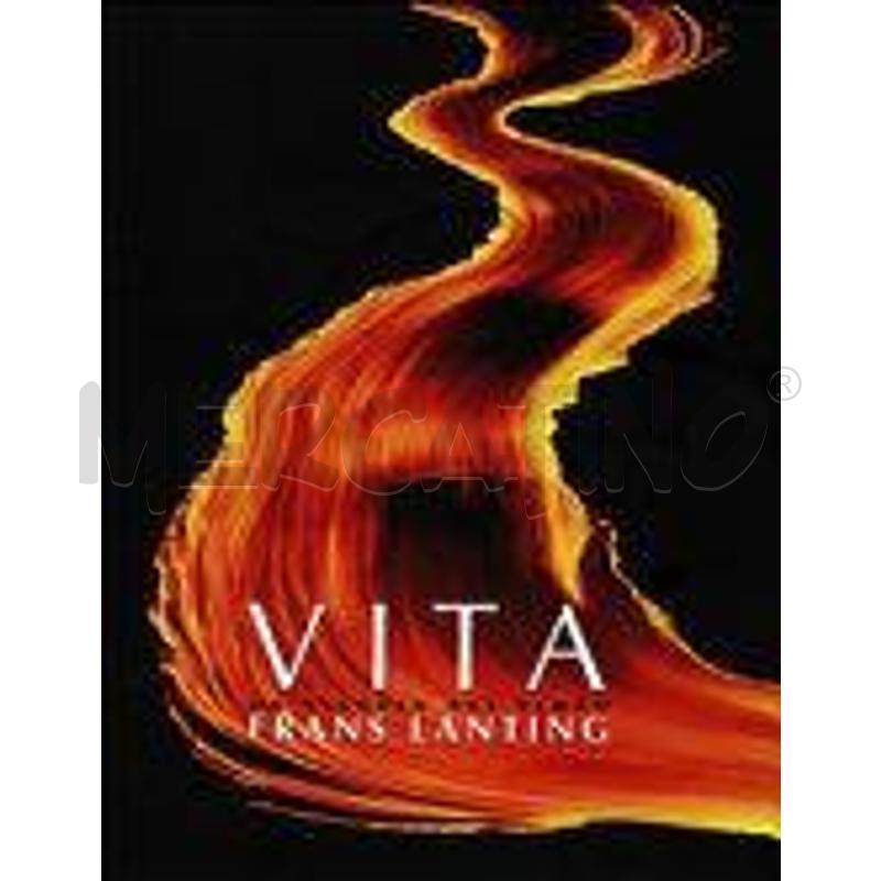 VITA | Mercatino dell'Usato Chieri 1