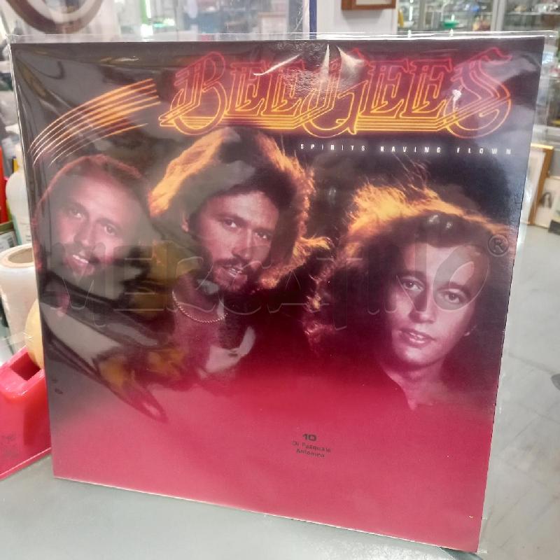 33 GIRI BEE GEES | Mercatino dell'Usato Moncalieri - fr. moriondo 1