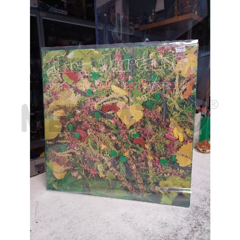 33 GIRI THE SHRUBS | Mercatino dell'Usato Moncalieri - fr. moriondo 1