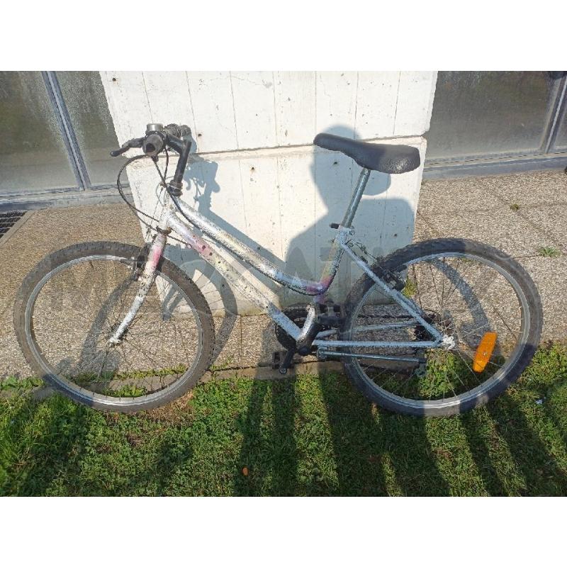 BICICLETTA BIANCA MACCHIE GRIGIO  | Mercatino dell'Usato Moncalieri - fr. moriondo 1