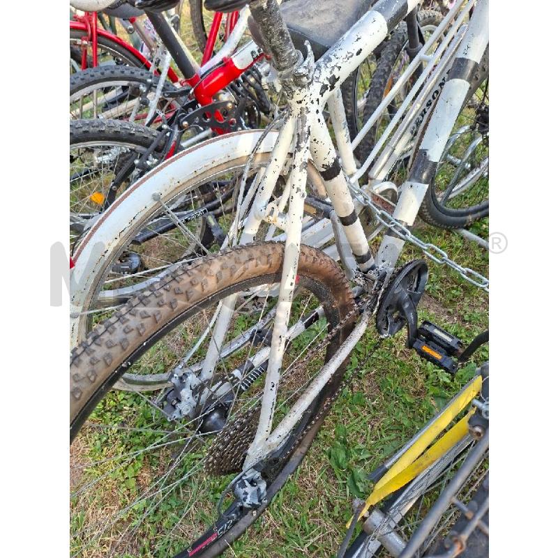 BICICLETTA BIANCA STRISCE NERE  | Mercatino dell'Usato Moncalieri - fr. moriondo 2