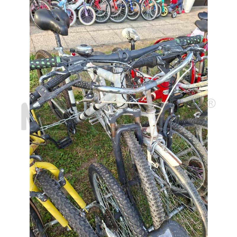 BICICLETTA BIANCA STRISCE NERE  | Mercatino dell'Usato Moncalieri - fr. moriondo 3