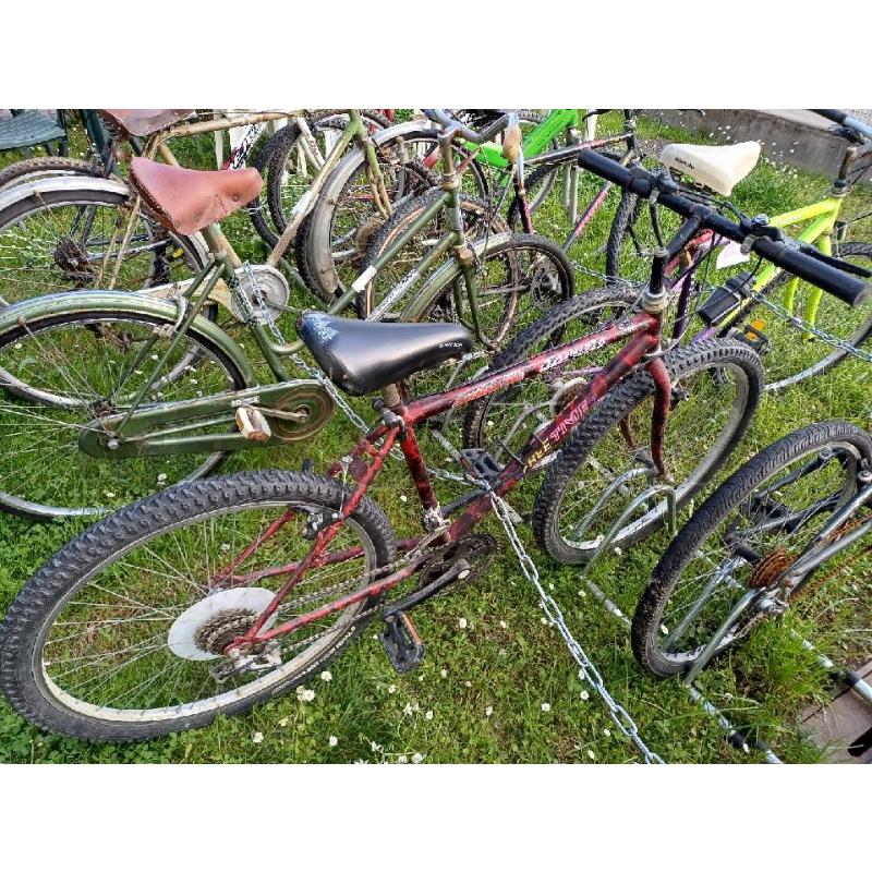 BICICLETTA FREE TIME | Mercatino dell'Usato Moncalieri - fr. moriondo 2