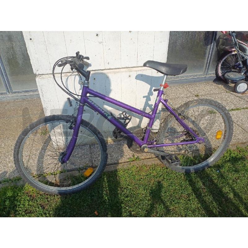 BICICLETTA VIOLA GIOBIKE  | Mercatino dell'Usato Moncalieri - fr. moriondo 1