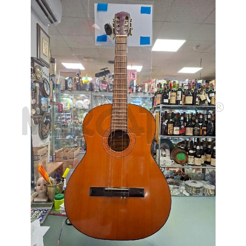 CHITARRA ARIANA  | Mercatino dell'Usato Moncalieri - fr. moriondo 1