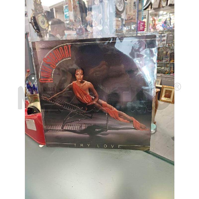 DISCO VINILE 33 GIRI AMII STEWART | Mercatino dell'Usato Moncalieri - fr. moriondo 1