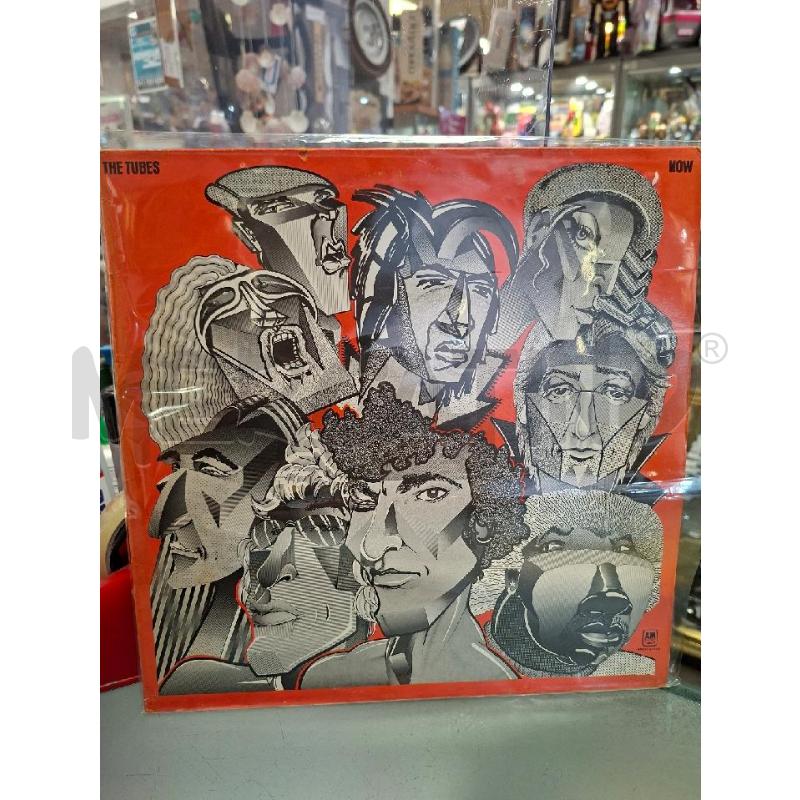 DISCO VINILE 33 GIRI THE TUBES | Mercatino dell'Usato Moncalieri - fr. moriondo 1