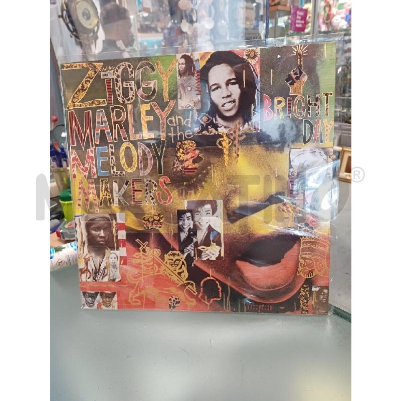 DISCO VINILE 33 GIRI ZIGGY MARLEY | Mercatino dell'Usato Moncalieri - fr. moriondo 1