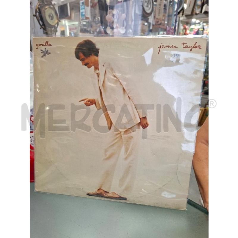DISCO VINILE JAMES TAYLOR | Mercatino dell'Usato Moncalieri - fr. moriondo 1