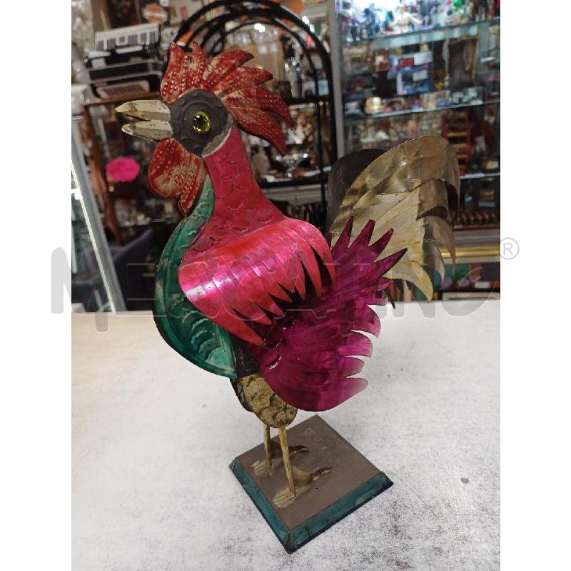 GALLO LATTA PORTOGHESE | Mercatino dell'Usato Moncalieri - fr. moriondo 2