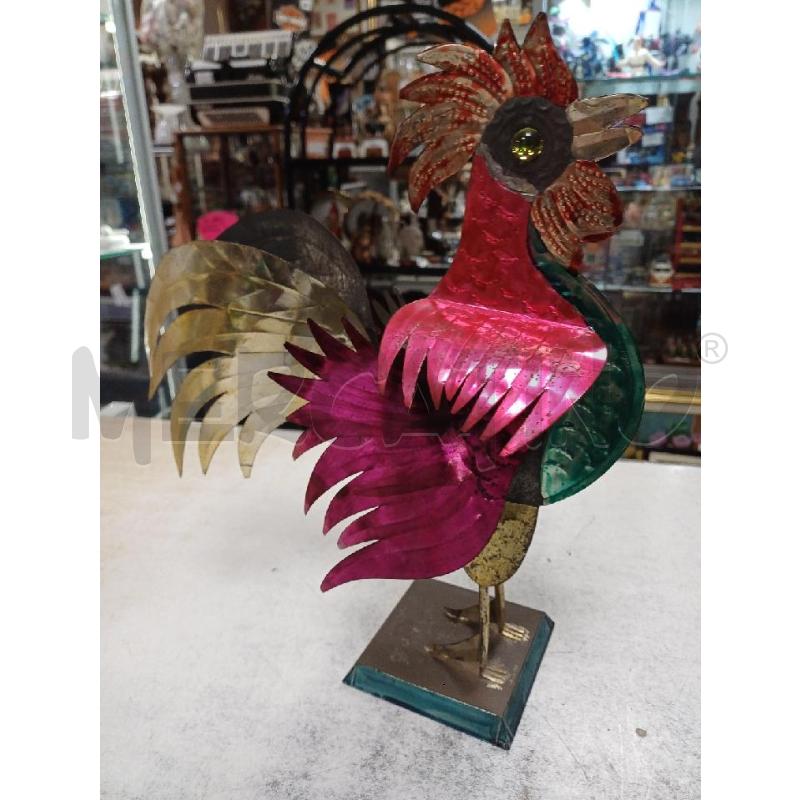 GALLO LATTA PORTOGHESE | Mercatino dell'Usato Moncalieri - fr. moriondo 3