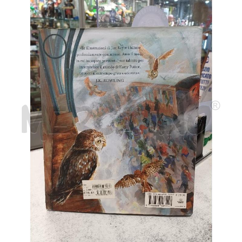HARRY POTTER  | Mercatino dell'Usato Moncalieri - fr. moriondo 2