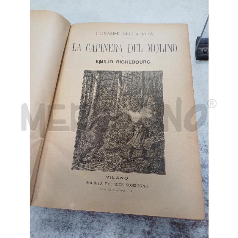 LA CAPINERA DEL MOLINO | Mercatino dell'Usato Moncalieri - fr. moriondo 2