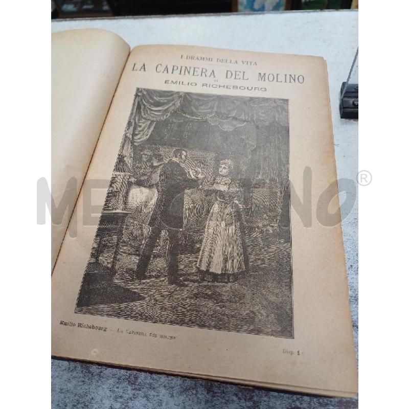 LA CAPINERA DEL MOLINO | Mercatino dell'Usato Moncalieri - fr. moriondo 3