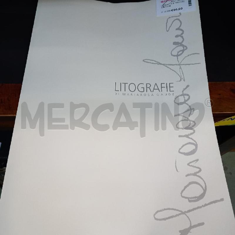 LITOGRAFIA DI MARIAROSA GAUDE | Mercatino dell'Usato Moncalieri - fr. moriondo 2