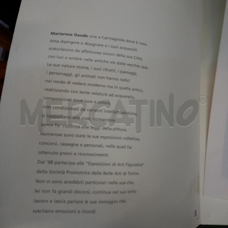 LITOGRAFIA DI MARIAROSA GAUDE | Mercatino dell'Usato Moncalieri - fr. moriondo 3