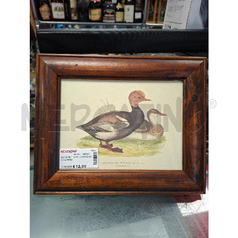 QUADRETTO VECCHIO DUCK PAPERO  | Mercatino dell'Usato Moncalieri - fr. moriondo 1