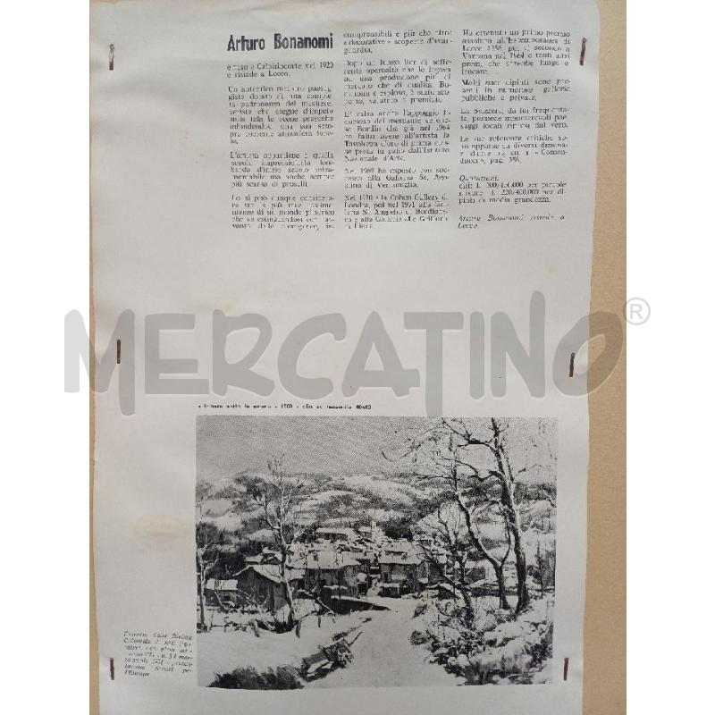 QUADRO ARTURO BONANOMI  | Mercatino dell'Usato Moncalieri - fr. moriondo 4