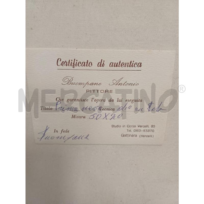 QUADRO DIPINTO PRIMANEVE ANTONIO BUONPANE | Mercatino dell'Usato Moncalieri - fr. moriondo 3