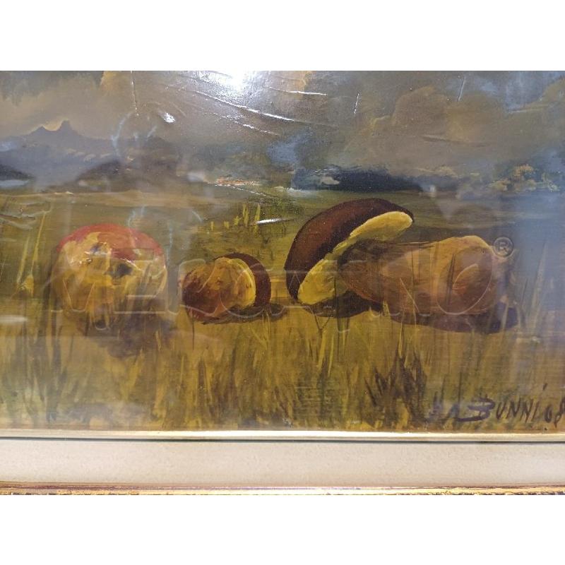 QUADRO FUNGHI BUNNI 68 | Mercatino dell'Usato Moncalieri - fr. moriondo 2