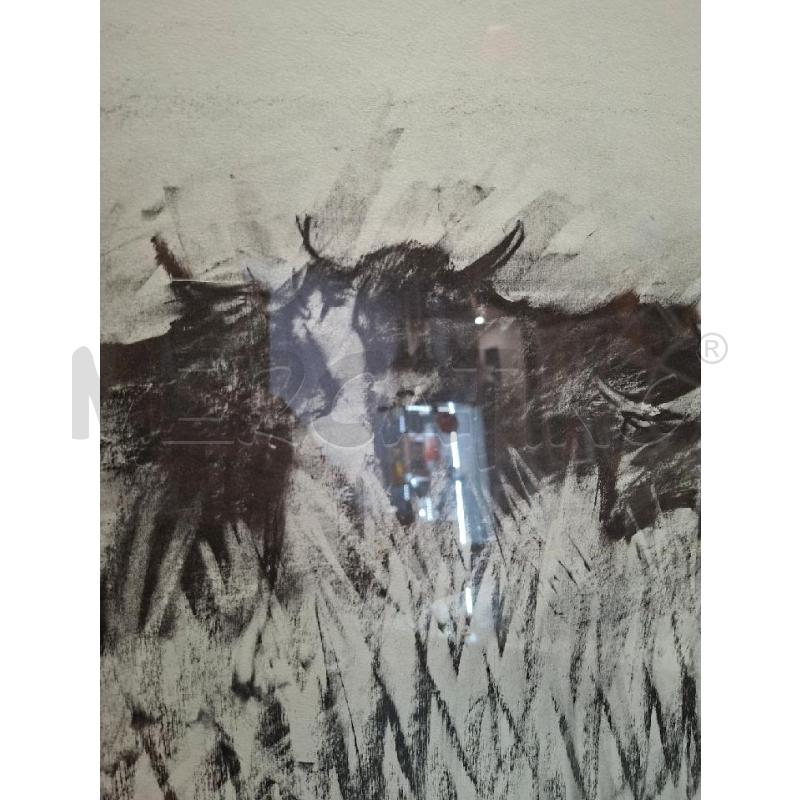 QUADRO TORI FIRMATO | Mercatino dell'Usato Moncalieri - fr. moriondo 3
