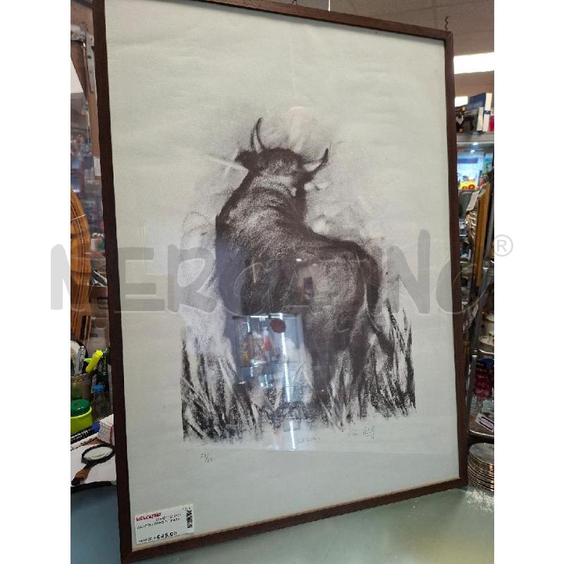 QUADRO TORO FIRMATO | Mercatino dell'Usato Moncalieri - fr. moriondo 1