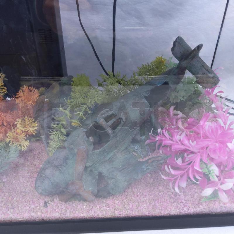 ACQUARIO 50LT EVOLUTION HAQUOSS CON RELITTI + ACC SP | Mercatino dell'Usato San maurizio canavese 3