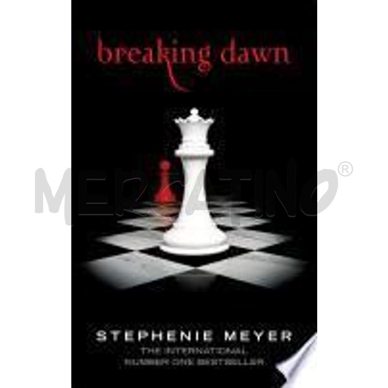 BREAKING DAWN | Mercatino dell'Usato San maurizio canavese 1
