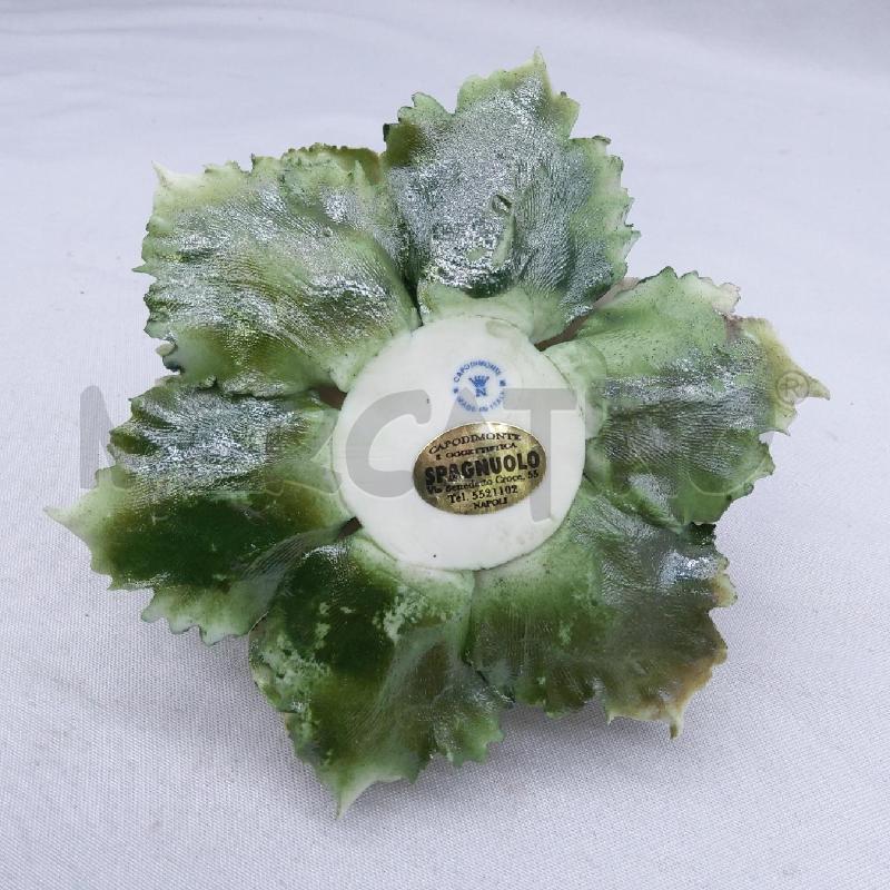 CAPODIMONTE BUGIA ROSELLINE | Mercatino dell'Usato San maurizio canavese 4