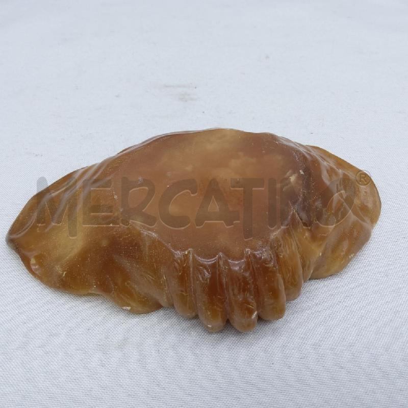 CONCHIGLIA ONICE MARRONCINA | Mercatino dell'Usato San maurizio canavese 3