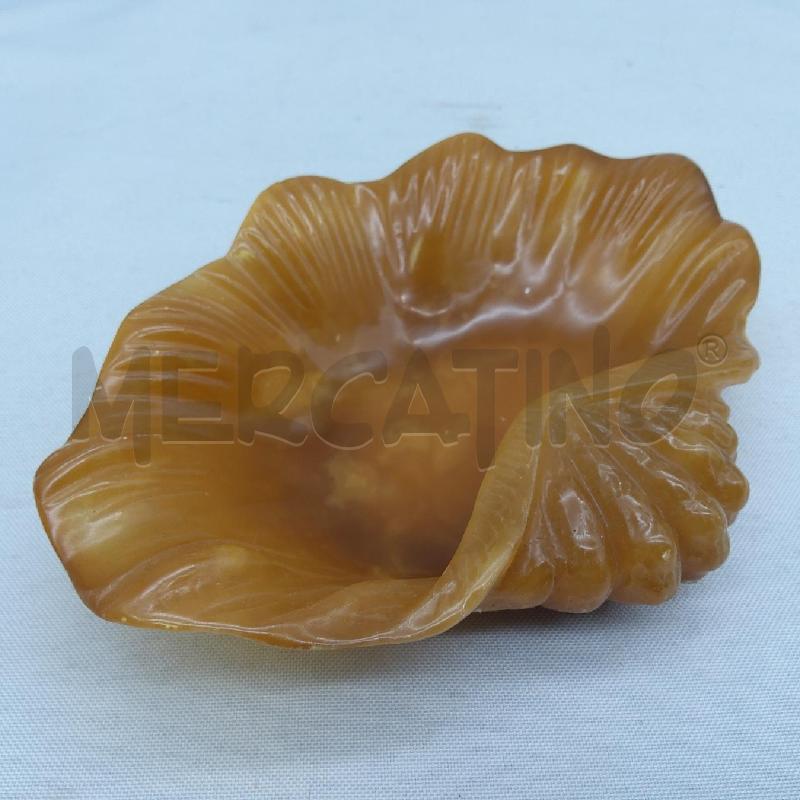 CONCHIGLIA ONICE MARRONCINA | Mercatino dell'Usato San maurizio canavese 4
