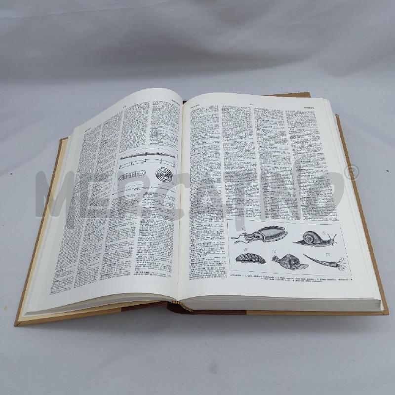 DIZIONARIO LINGUA ITALIANA FEDERICO MOTTA 2 VOLUMI | Mercatino dell'Usato San maurizio canavese 4