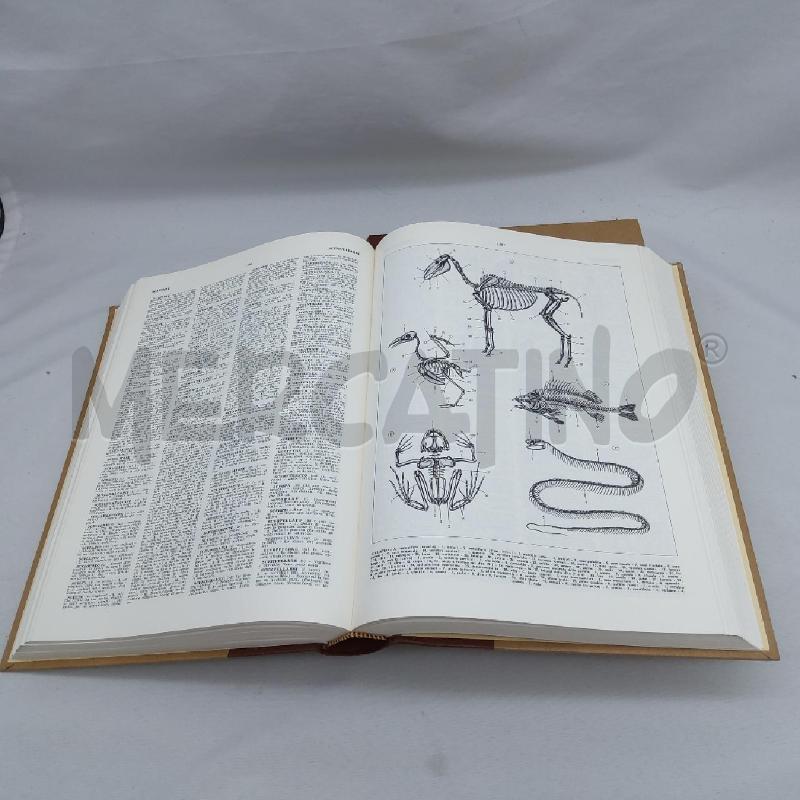 DIZIONARIO LINGUA ITALIANA FEDERICO MOTTA 2 VOLUMI | Mercatino dell'Usato San maurizio canavese 5