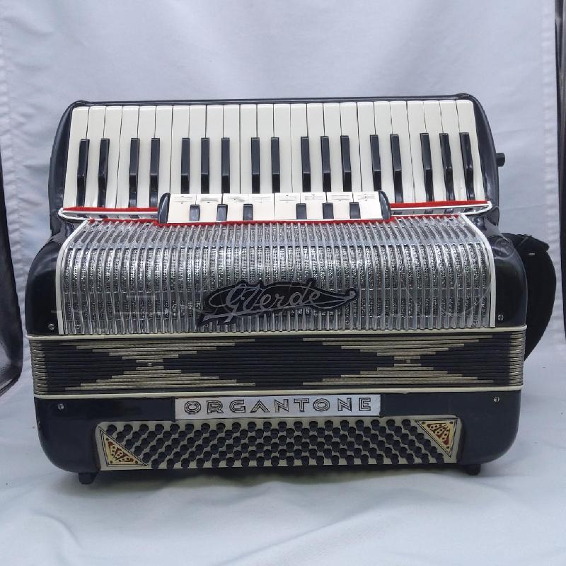 FISARMONICA VERDE ORGANTONE 120+VALIGIA | Mercatino dell'Usato San maurizio canavese 3