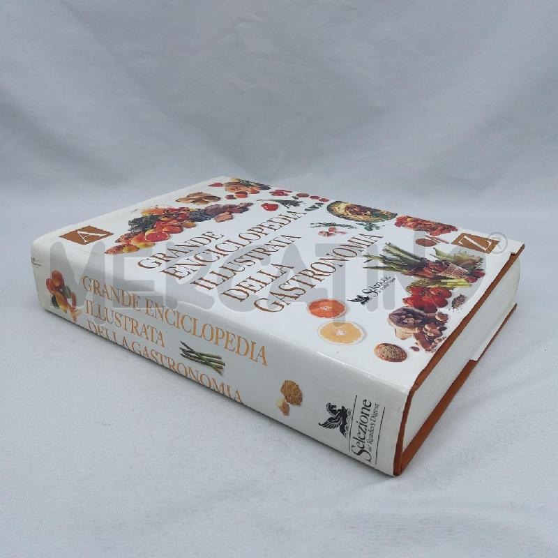 GRANDE ENCICLOPEDIA ILLUSTRATA DELLA GASTRONOMIA | Mercatino dell'Usato San maurizio canavese 2