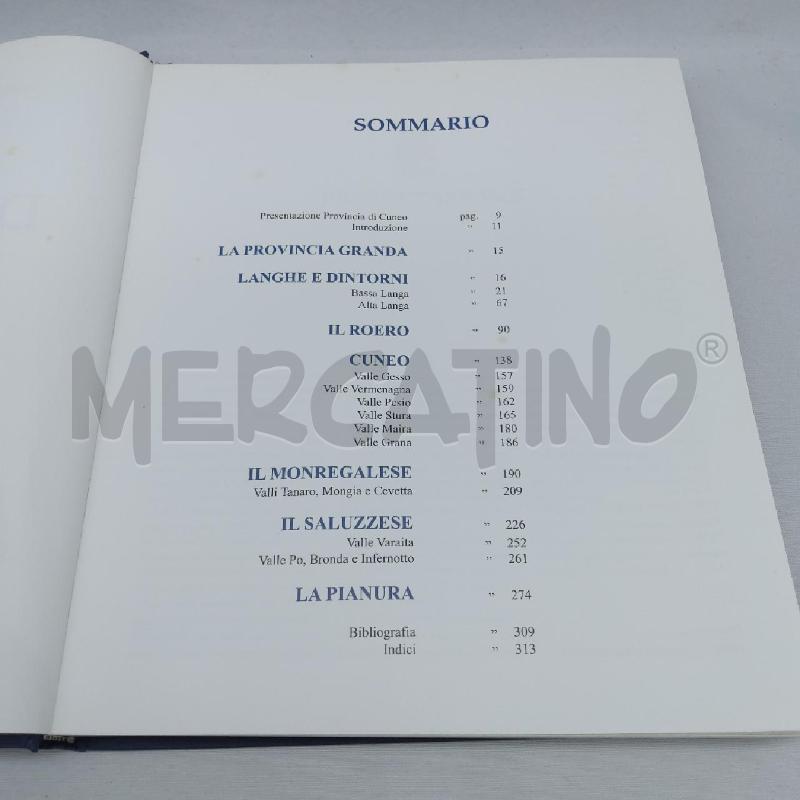 I CASTELLI DEL PIEMONTE LA PROVINCIA DI CUNEO | Mercatino dell'Usato San maurizio canavese 3