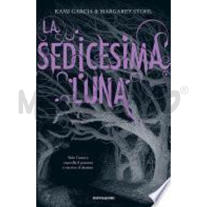 LA SEDICESIMA LUNA | Mercatino dell'Usato San maurizio canavese 1