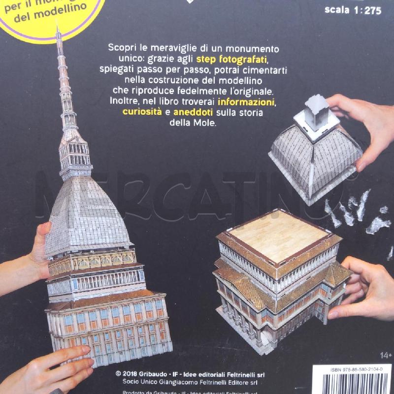 MOLE ANTONELLIANA DA COSTRUIRE | Mercatino dell'Usato San maurizio canavese 3