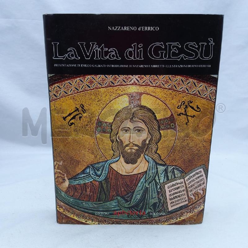NAZZARENO D'ERRICO LA VITA DI GESÙ | Mercatino dell'Usato San maurizio canavese 1