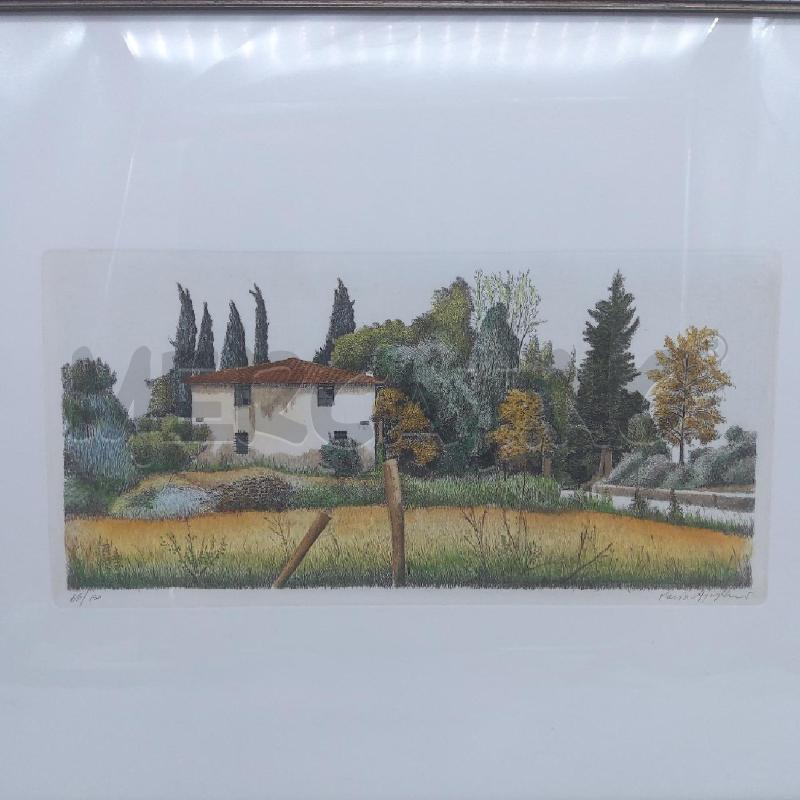 QUADRO ACQUAFORTE MARIO AGOSTINI CASOLARE 65/150 | Mercatino dell'Usato San maurizio canavese 2