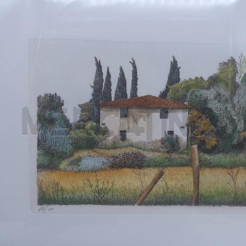 QUADRO ACQUAFORTE MARIO AGOSTINI CASOLARE 65/150 | Mercatino dell'Usato San maurizio canavese 3
