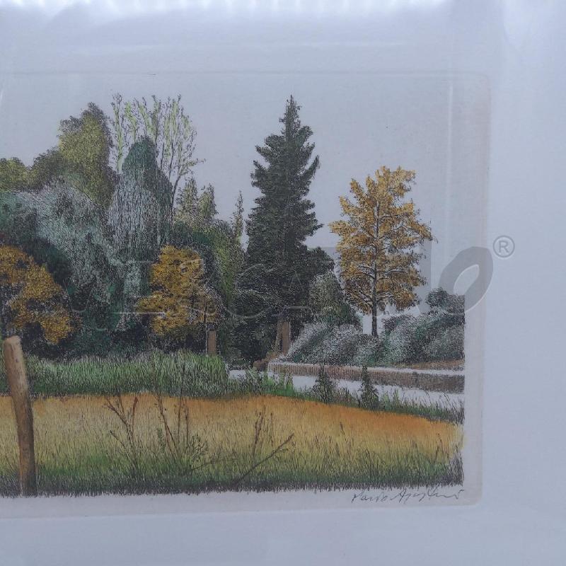 QUADRO ACQUAFORTE MARIO AGOSTINI CASOLARE 65/150 | Mercatino dell'Usato San maurizio canavese 4