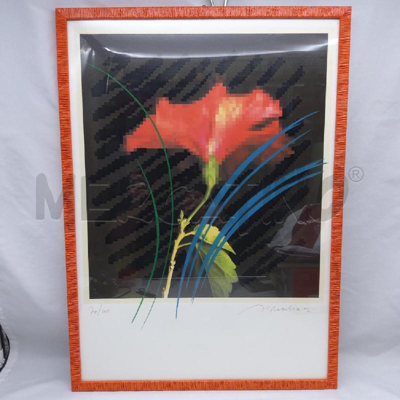 QUADRO GRAFICA DIGITALE FIORE ROSSO MARCO SILOMBRIA | Mercatino dell'Usato San maurizio canavese 1